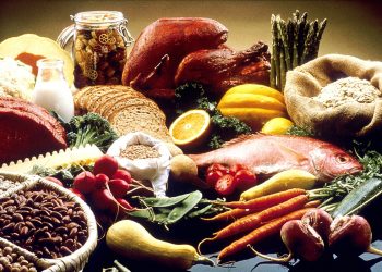 Nutrition 101: Building a Balanced Diet for Optimal Health