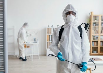 Expert Solutions for a Pest-Free Home: Why Professional Pest Control Matters