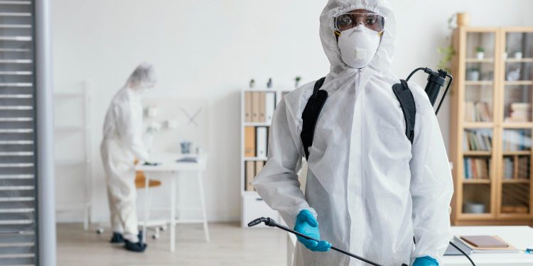 Expert Solutions for a Pest-Free Home: Why Professional Pest Control Matters