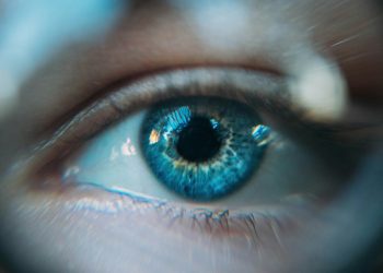 Beyond Blue Light – The Hidden Hazards of Digital Eye Strain