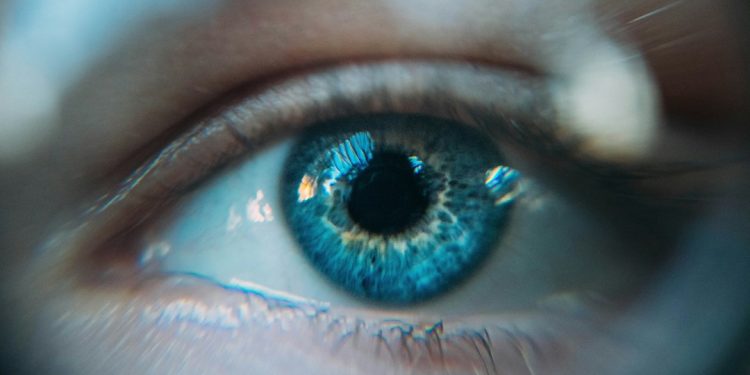 Beyond Blue Light – The Hidden Hazards of Digital Eye Strain