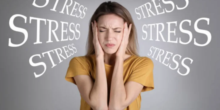 Stress In The Stomach: Signs, Causes, And Management