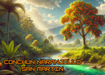 Conchun Naranjillo Peru: A Hub of Agriculture and Growth