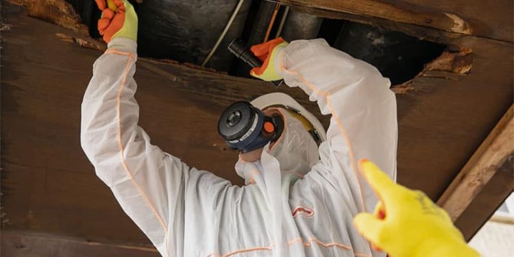 You Won’t Believe How A Digital Marketing Company Transformed a Kent Construction Business