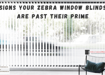 Signs Your Zebra Window Blinds Are Past Their Prime